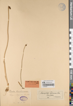 LE 00054221