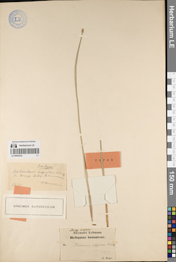 LE 00054232
