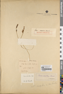 LE 00054281