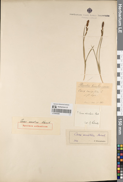 LE 00054288