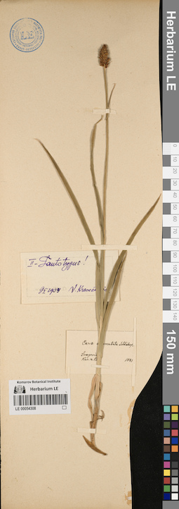 LE 00054308