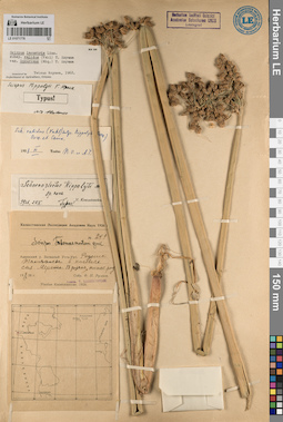 LE 01071778