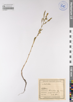 LE 01206145