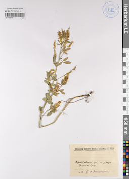LE 01206197