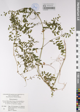 LE 01222148
