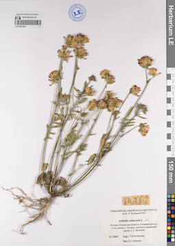 LE 01222244