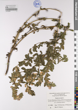 LE 01222264