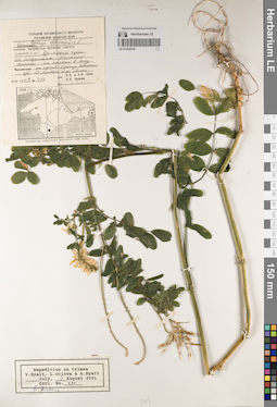 LE 01222319