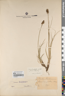 LE 00054339