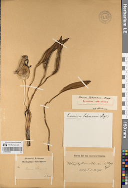 LE 00054929