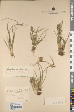 LE 00054348