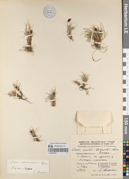 LE 00054354