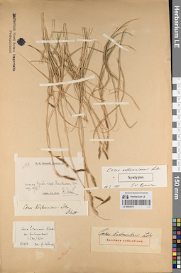 LE 00054370