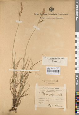 LE 00054395