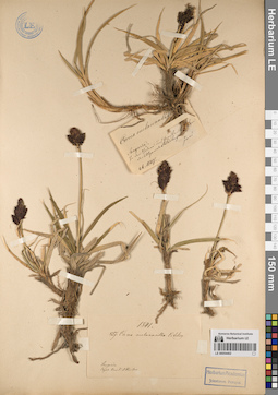 LE 00054402
