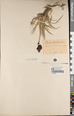LE 00054405