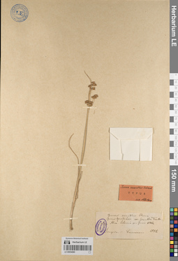 LE 00054980