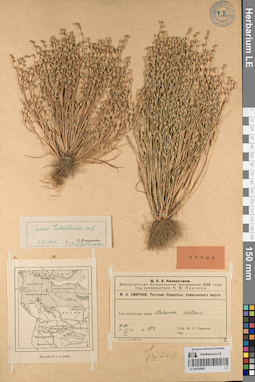 LE 00054986