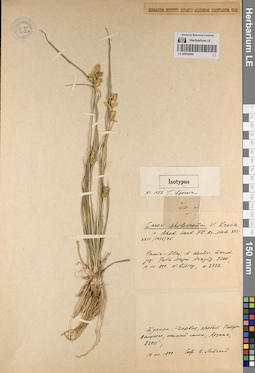 LE 00054458