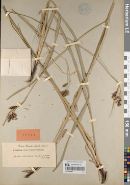 LE 00054461