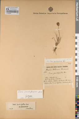 LE 00054465