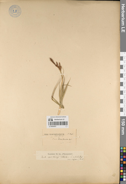 LE 00054537