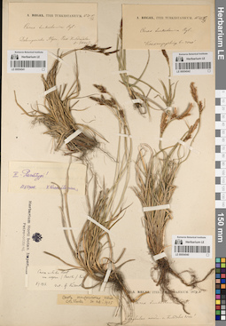 LE 00054541