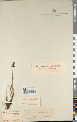 LE 00054915