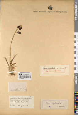 LE 00054920
