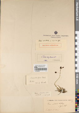 LE 00054924