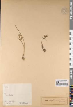 LE 01152818