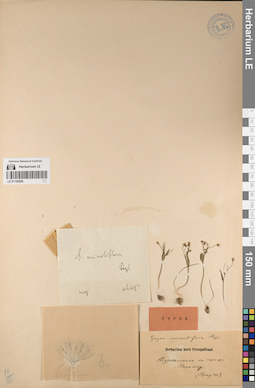 LE 01152828