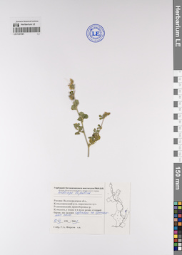 LE 01201561
