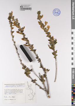 LE 01201562