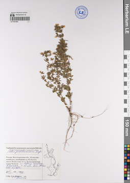 LE 01201564