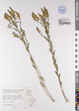 LE 01201566