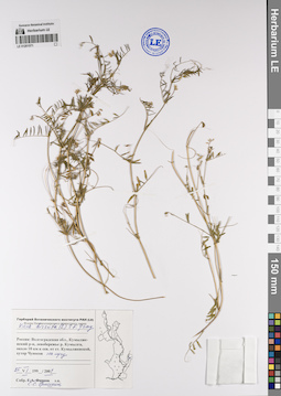 LE 01201571