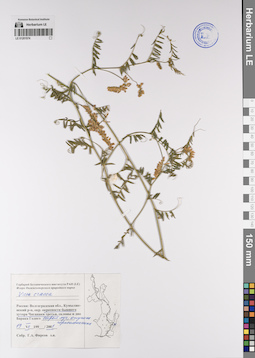 LE 01201574