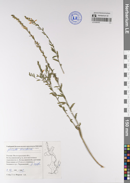 LE 01201575