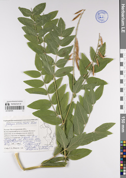 LE 01201578