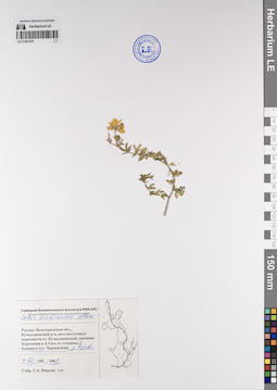 LE 01201579