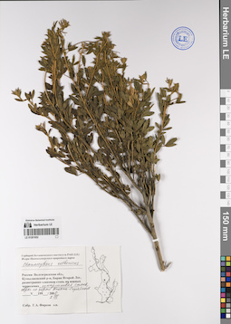 LE 01201652