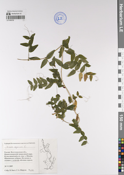 LE 01202728