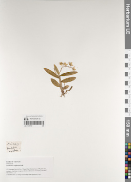 LE 01170727