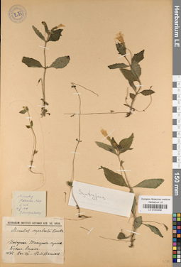 LE 01043458