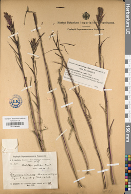 LE 01043466