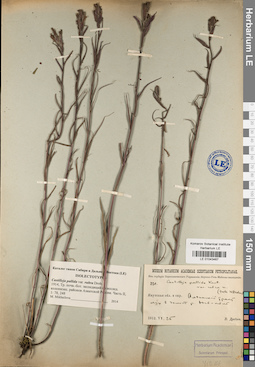 LE 01043467
