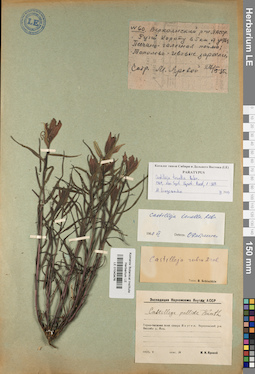 LE 01043476