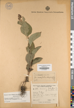LE 01043491