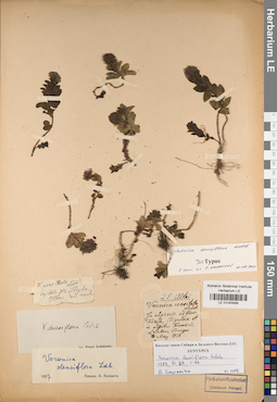 LE 01043494
